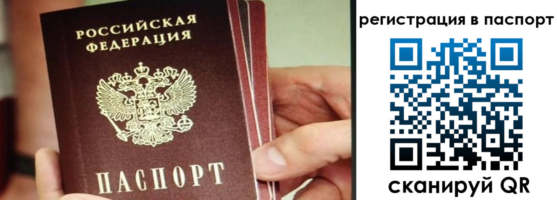 временная регистрация надежно в Брянской области